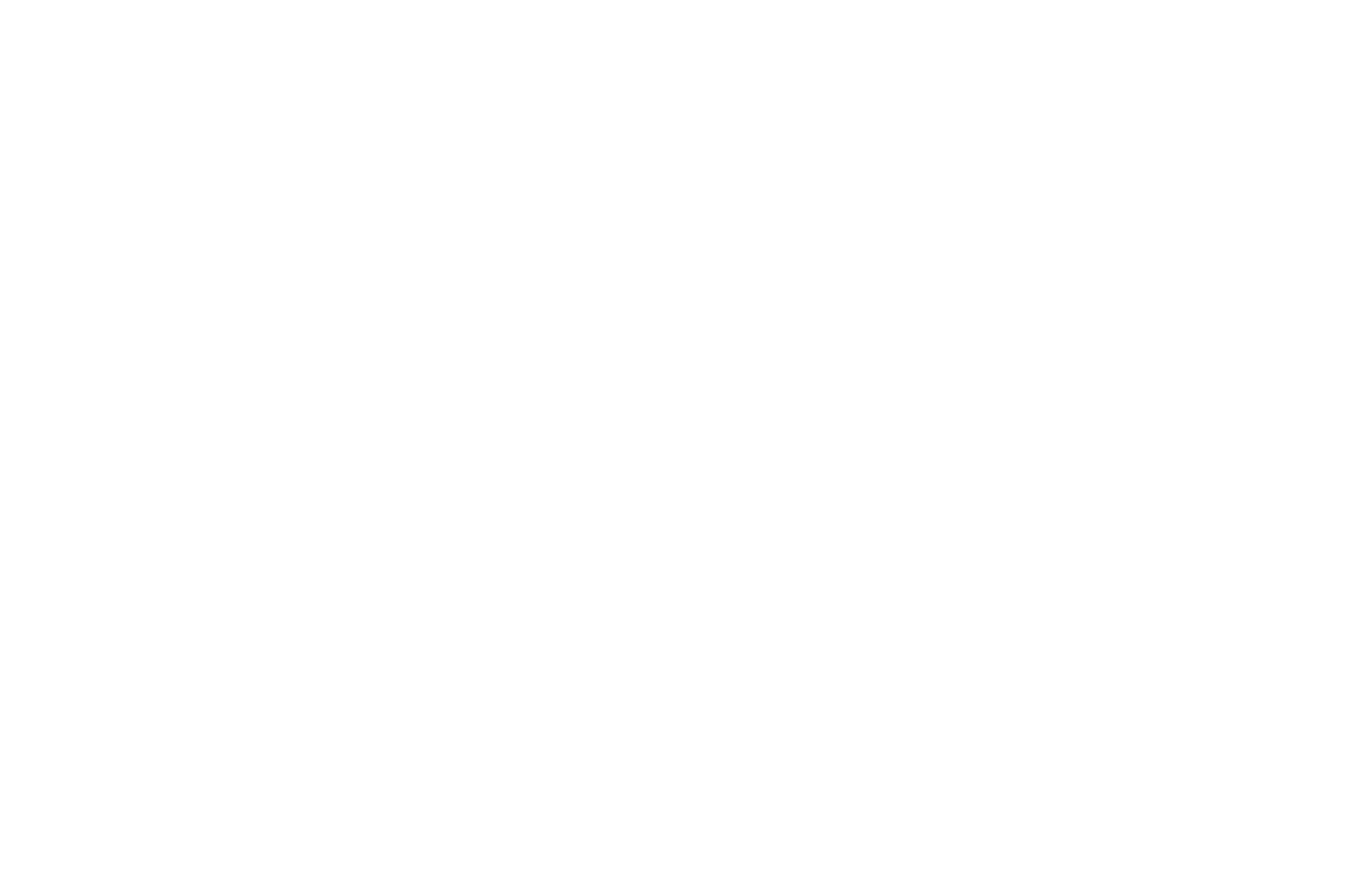 Law Ninjas